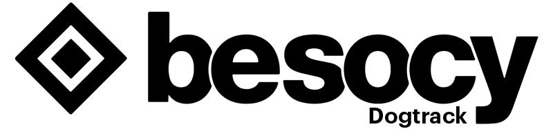 Besocy Logo Besocy